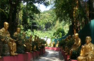 萬佛寺2 萬佛寺2